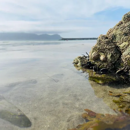 Ca Mestral Espasante San Antonio - Vistas Espectaculares Apartamento